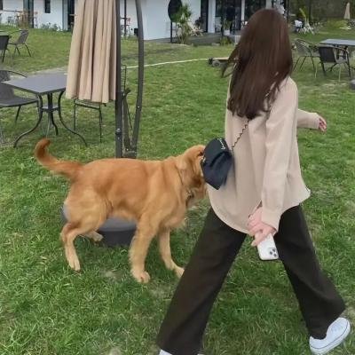 战地黄花分外香